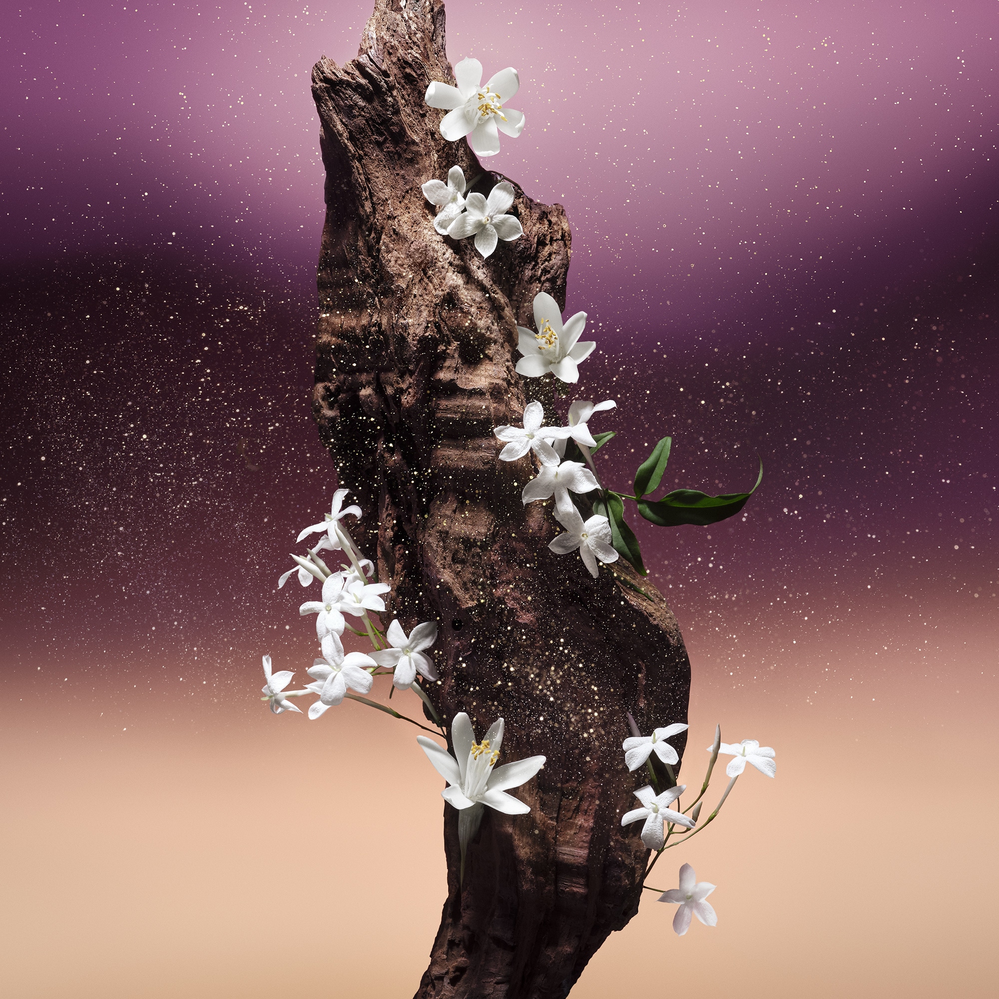 Fleur du Désert - gifts - Personalization | LOUIS VUITTON ®